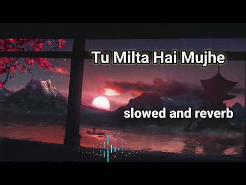 Tu Milta Hai Mujhe to muskurata hu slowed and reverb | Raj Barman | Rashid Khan | lo-fi