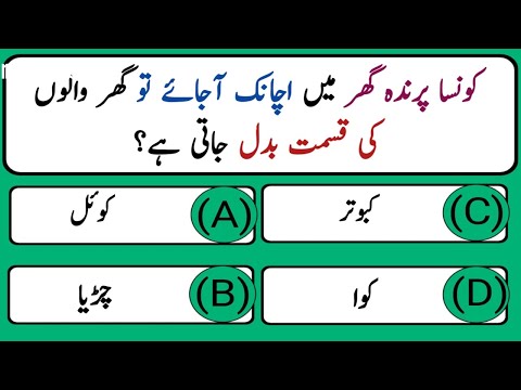 Dilchasp islami malomat | interesting gk question answers | islamic General Knowledge in Urdu #quiz