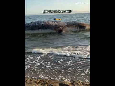 It’s so crazy😭#fypシ゚viral #alameda beach#karina #edit #fallowme