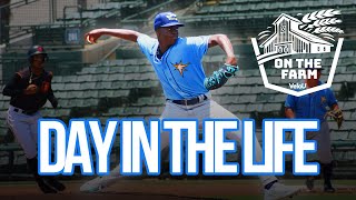 Gary Gill Hill | Tampa Bay Rays Prospect On The Farm