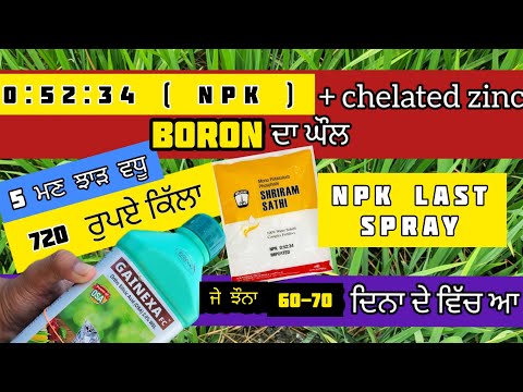 NPK last spray !! 05234 NPK ਸਪਰੇਅ ਦੇ ਨਾਲ ਕਿਓ ਪਾਇਆ UPL GANEXA !! 720 rs ਕਿੱਲਾ ਆਖਰੀ ਸਪਰੇਅ
