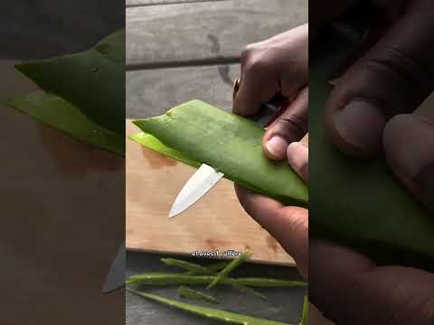 Recette Boisson à l’aloe vera citron
