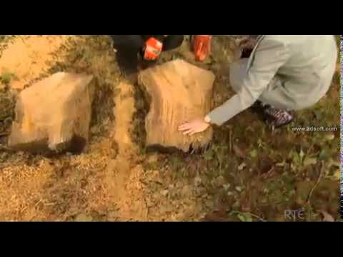 Chris Sweeney Woodturner - Nationwide 22/8/14