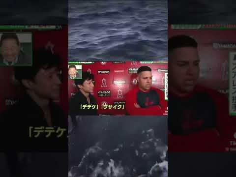 大谷翔平から教えてもらった言葉がこちら【ロサンゼルス・エンゼルス】#大谷翔平 #ロサンゼルス #エンゼルス #ドジャース #野球 #shorts #sports