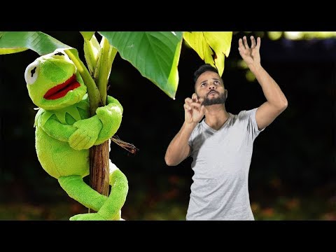 Piada em Libras - 03 - A Competição dos Sapos