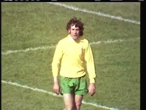 Scotland 3 - 0 Northern Ireland (08 May 1976)