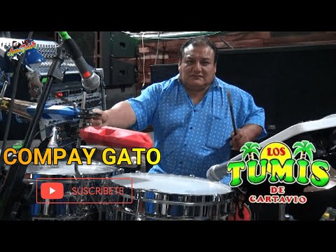 COMPAY GATO 🎵 LOS TUMIS DE CARTAVIO 🎼 EN VIVO LOCAL DON CEVICHELERO 2019 🍺🍷🎤🔊 🥁
