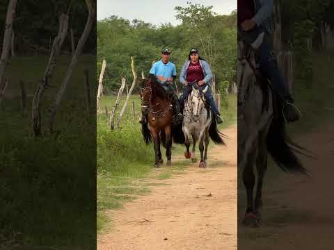 🐎🌵 Hoje tem Missa do Vaqueiro em Caneiros, AL! Fé, tradição e desfile de cavalos 🌵🐎🔥