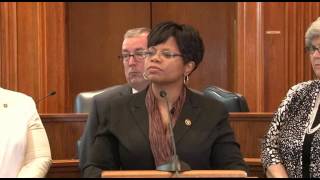 Missouri Senate Democrats Recap 2015 Sesssion l Policy Update