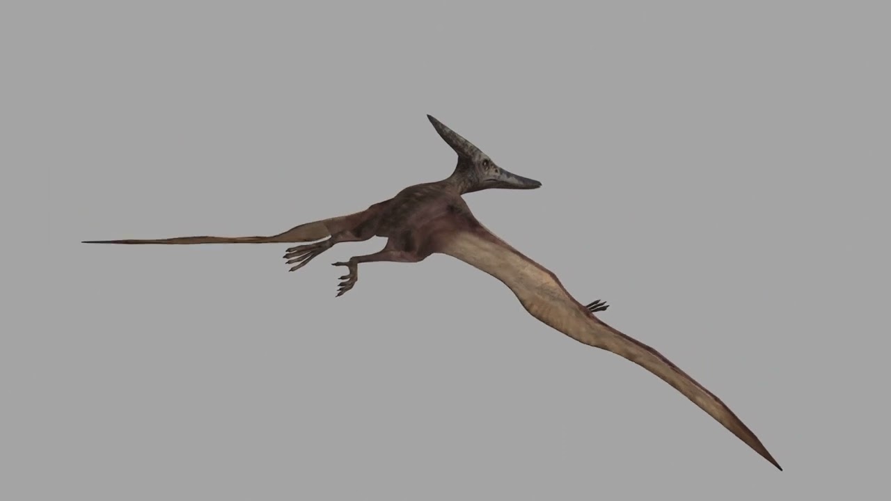 Colossal Dinosaur Pack 8K - totalmente animado Modelo 3D