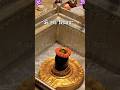 ️OmNamahShivaya ️Namo Namo Shankara Har HarMahadev Shivshankar Lordshiva Bholenath Shortsfeed Sh