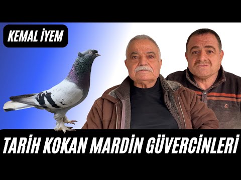 Mardin Güvercin Tarihi (Kemal İyem)