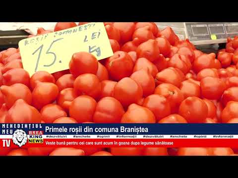 PRIMELE ROȘII DIN COMUNA BRANIȘTEA