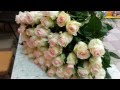 Букет из 51 розы 