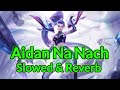 Aidan Na Nach Slowed And Reverb Amar Jalal Tejasswi Prakash Kaptaan New Punjabi Song