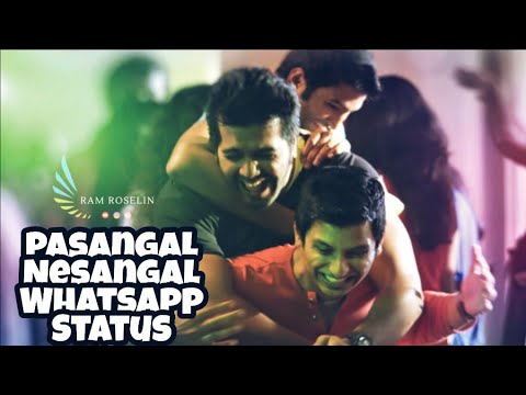 Pasangal Nesangal Yethume Indri WhatsApp Status/Friendship Version/Endrendrum Punnagai