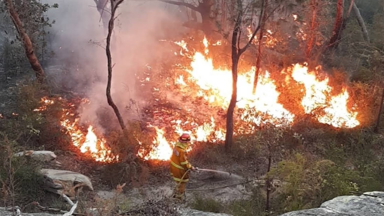 Bushfires ravaging northern NSW