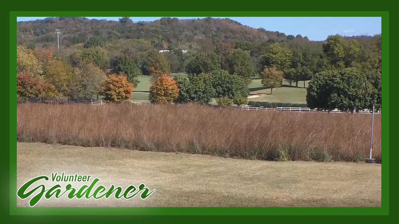 Restoring a Native Prairie | Volunteer Gardener
