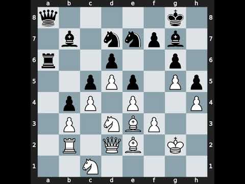 Philipp Schlosser(2599) vs Evgeny A Levin(2465) | Event: Czech Open G Rapid | 2011.07.20