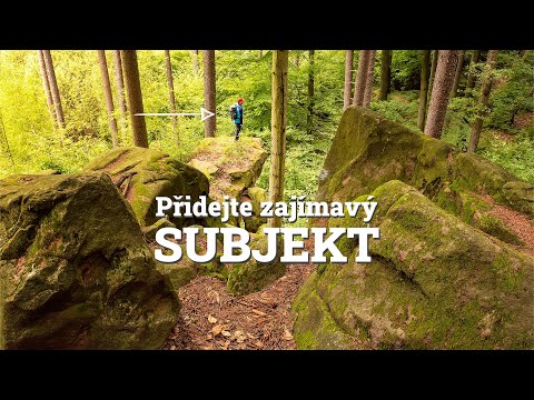 Kreativní expozice | Focení více expozic | Lesní fotografie