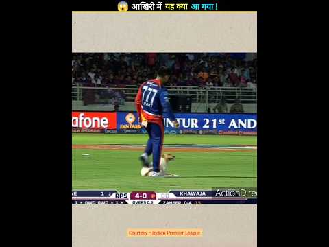 Animal's Entry in The ongoing MATCH