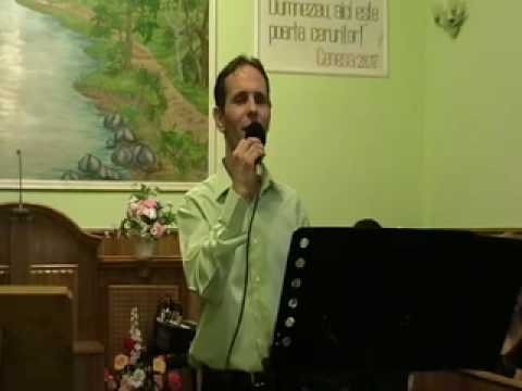 Bucur Aurel - Am fost cazut