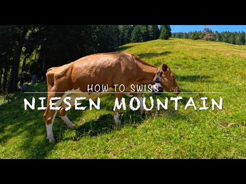 NIESEN MOUNTAIN I HOW TO SWISS I 4K