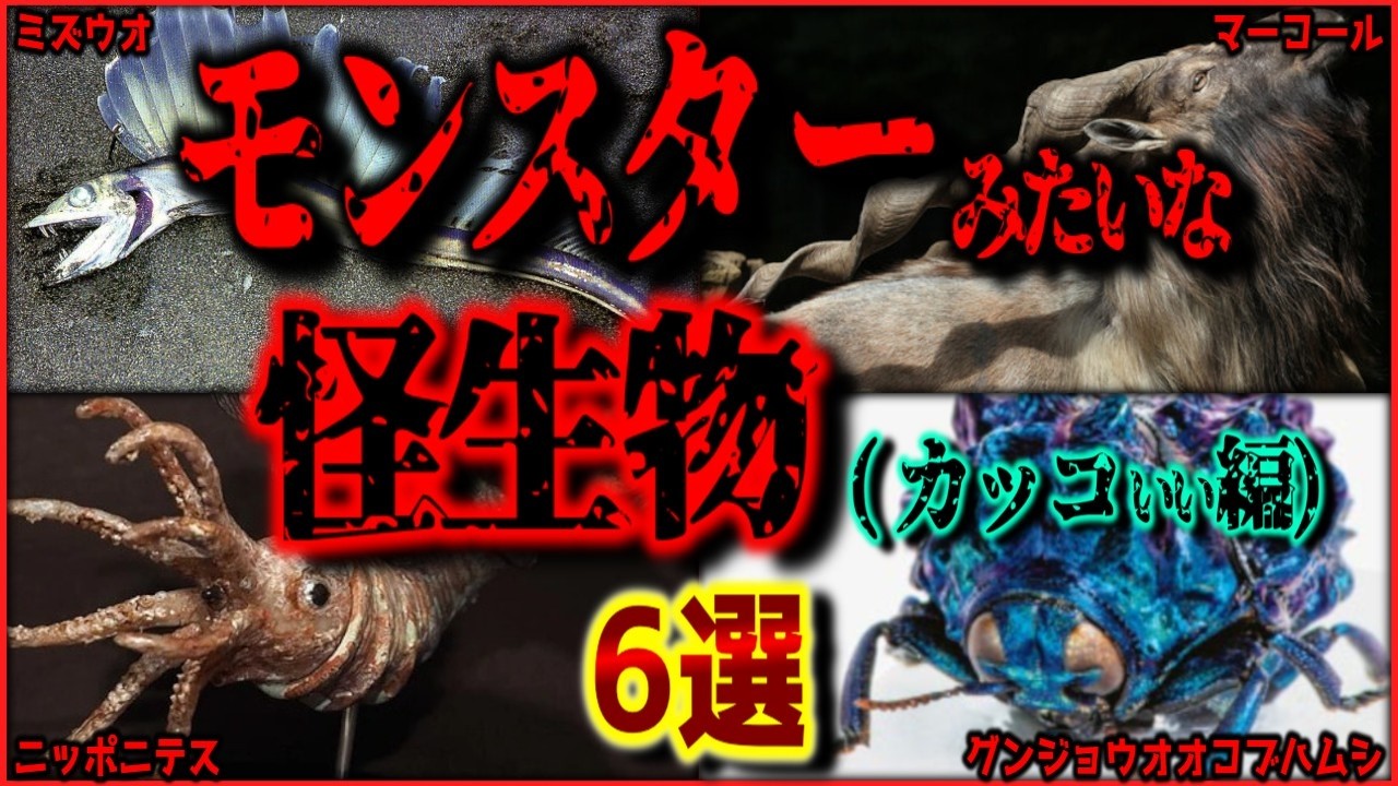 【閲覧注意】実在するモンスターみたいな生き物 7選（カッコいい編）【ゆっくり解説/作業用BGM/睡眠用/9割が知らない】