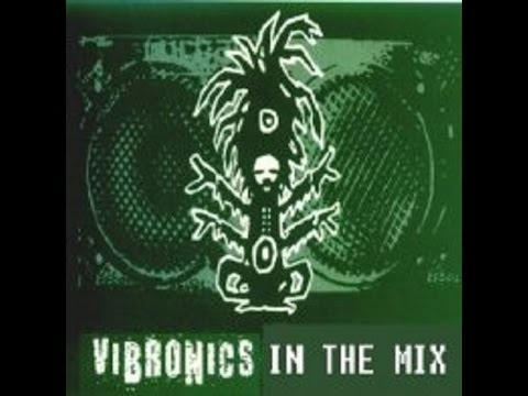 RoberDub Radio - Vibronics In The Mix