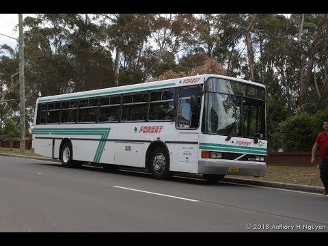 Forest Coach Lines [Terrey Hills] Volvo B10M Mk IV / Custom Coaches 210, m/o 8724