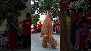 Download lagu gerandong Pati melintas di depan kuda renggong #shorts #gerandong #kudarenggong mp3