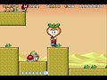 Vegetable Volley SMA4 SMB3 E Reader Levels