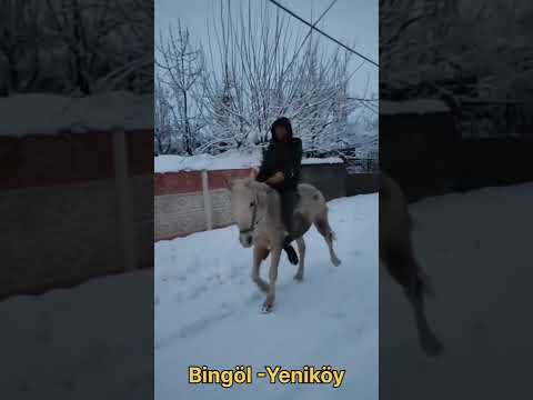 Bingöl - Zazaca Uzun Hava