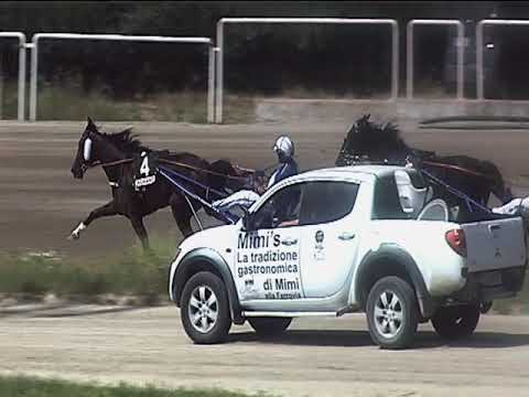 Trotto 15/06/2019 - 2ª corsa