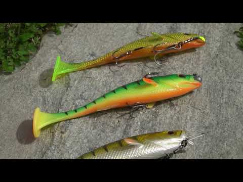 LMAB KØFI Perch Shad - Introduction