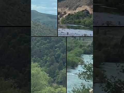 Cordillera de los Andes Neuquén. RP23. De Junin de los Andes a Alumine