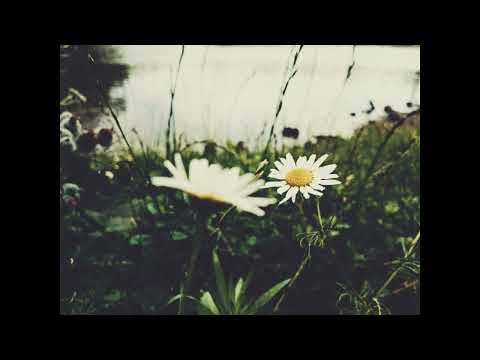 Sunbyonic - I spent this Summer with You