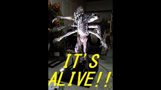 XENOVORE by Distortions Unlimited -Unboxed & Fired Up!