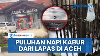 51 Napi Kabur dari Lapas Kutacane Aceh Tenggara Jelang Buka Puasa, Dipicu Tuntutan Bilik Asmara