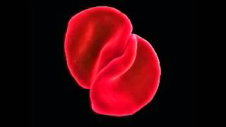 Peter Gabriel   Listening Wind (Talking Heads RMX)