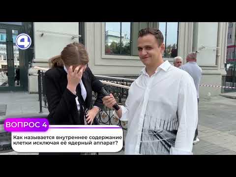 Сможете ответить на 5 школьных вопросов: опрос прохожих с Vekshito