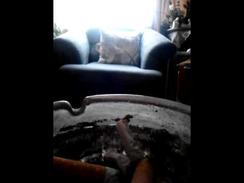 The Prodigy + Botnek - Warriors Feel It (The Loops Of Fury Bootleg)