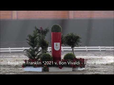 Benjamin Franklin *2021 v. Bon Vivaldi - Royal Blend