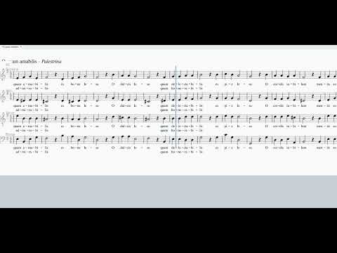 PALESTRINA O quam amabilis S 100 A 0 TB 100