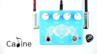 Video thumbnail for Caline CP-79 Wolfpack Overdrive Boost by Pedal of the Day