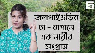 Download lagu সমরেশ মজুমদার || Samaresh Majumdar || Finding Book || সাতকাহন || Satkahon || Satkahan || Saatkahon mp3