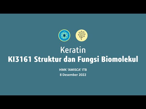 Keratin Ujian 2 SFB 2022