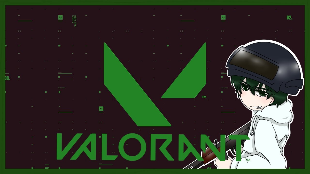 【VALORANT】ドネ導入した