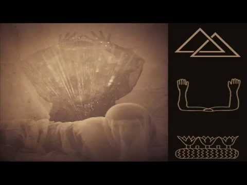 Animal Bodies - The Golden Triangle (Single Edit)