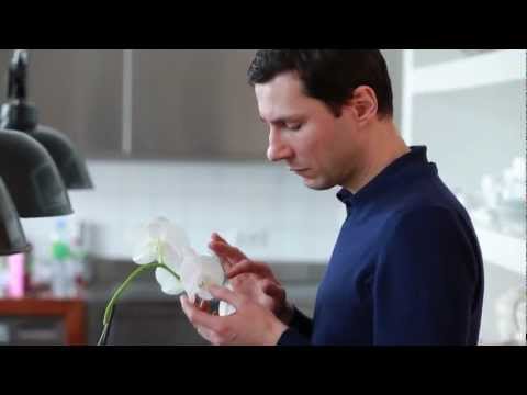 Staffel 2 - Folge 4 "Christian und Herr Wolf, Geschmäcker sind verschieden"